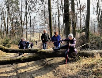Unaufhaltsam rückt wenigstens der Frühling voran!